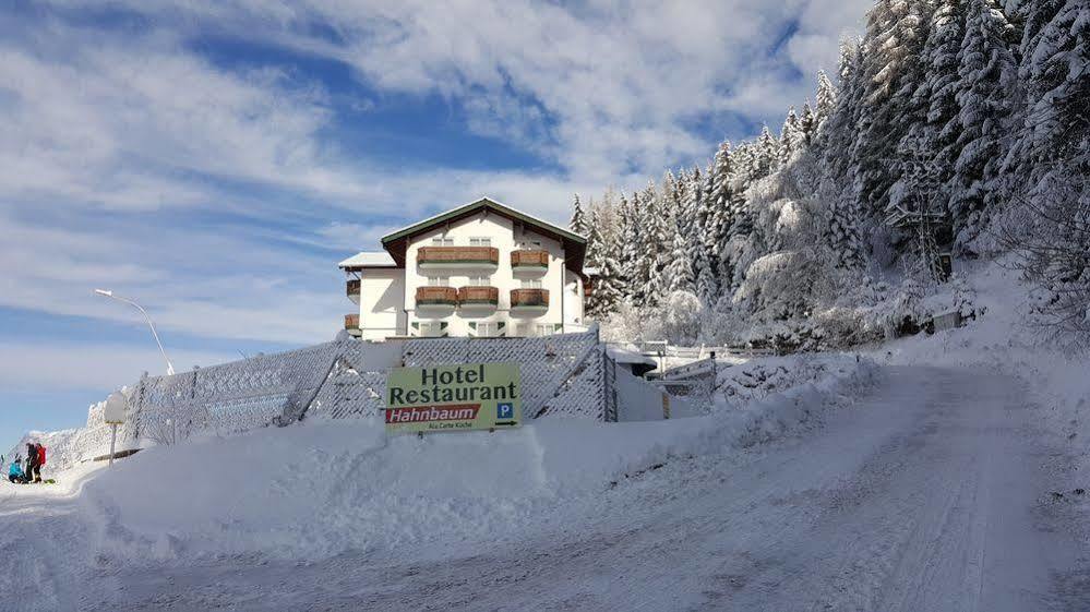 Hotel Hahnbaum Sankt Johann im Pongau Dış mekan fotoğraf