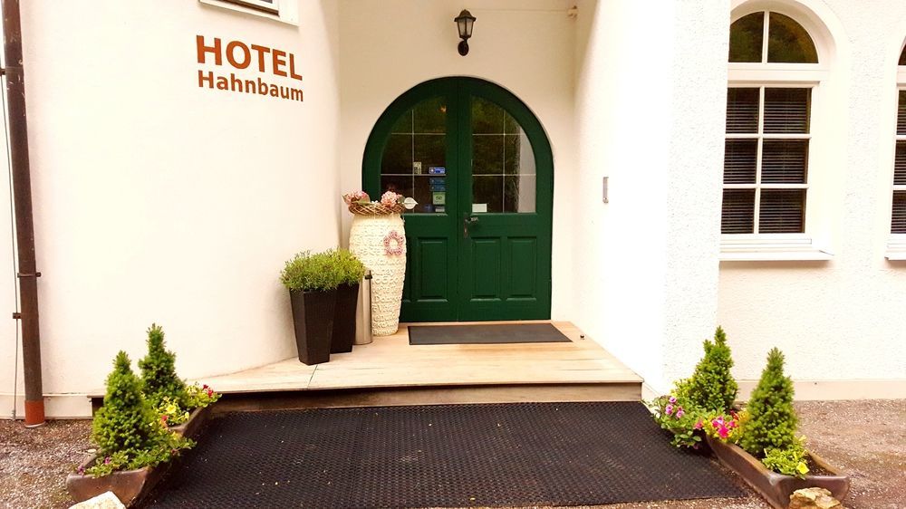 Hotel Hahnbaum Sankt Johann im Pongau Dış mekan fotoğraf